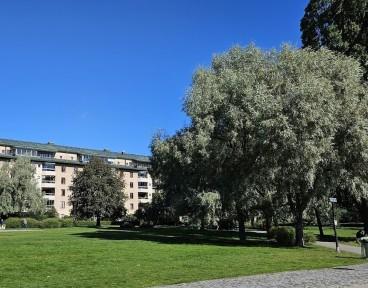 Anna Lindhs park hundrastgård