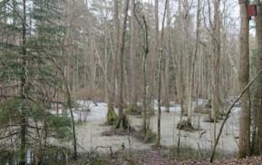 The Chrystal Park hundrastgård