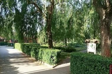 triangle park hundrastgård