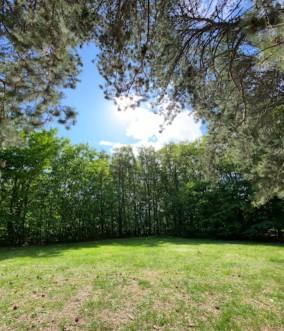 Hammars park hundrastgård