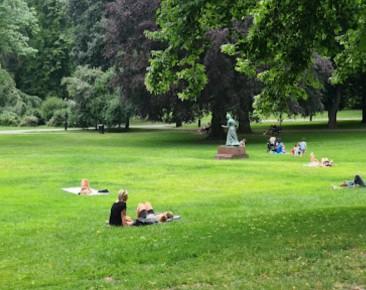 Humlegården hundrastgård